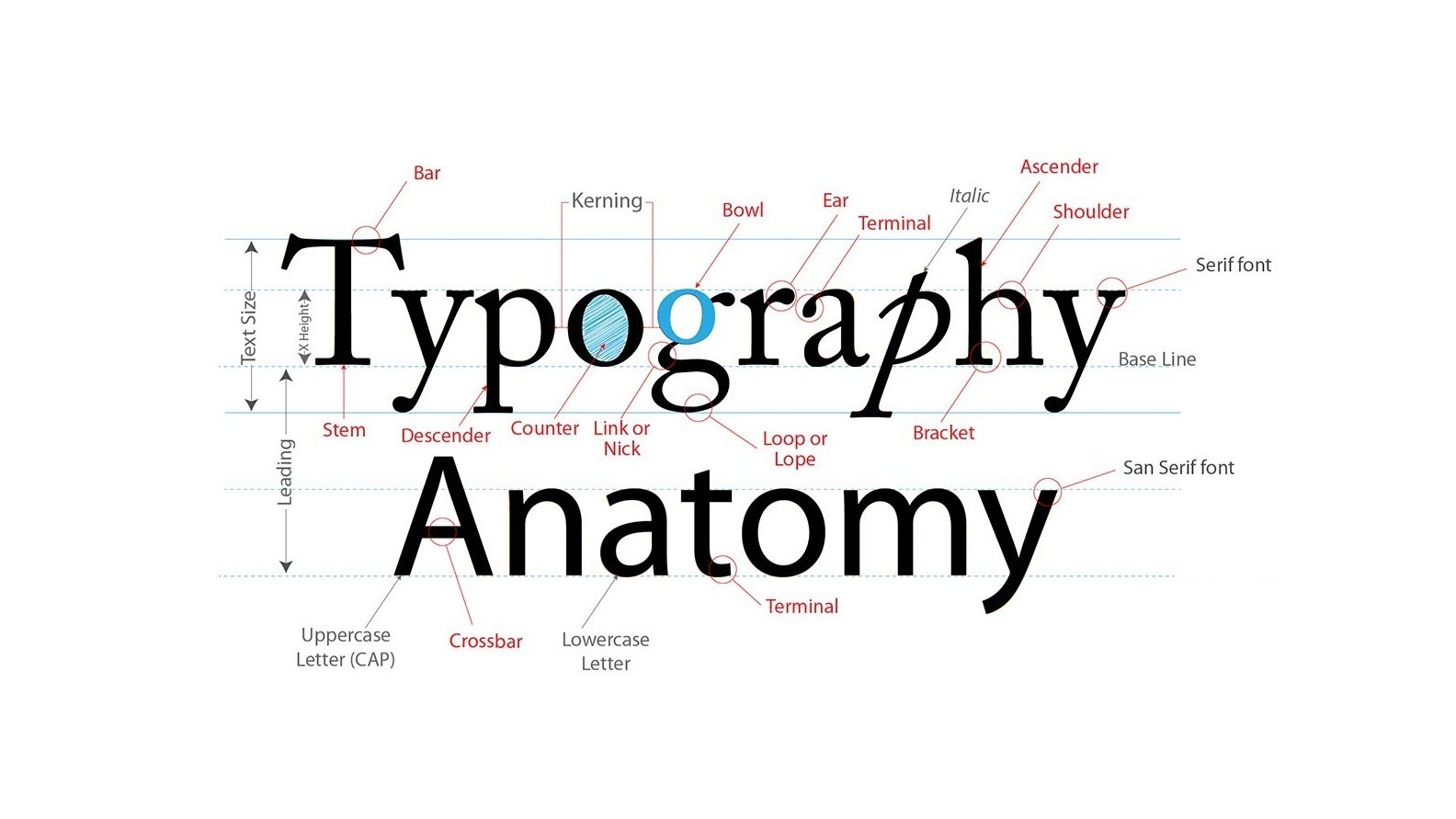 Font vs. Typography